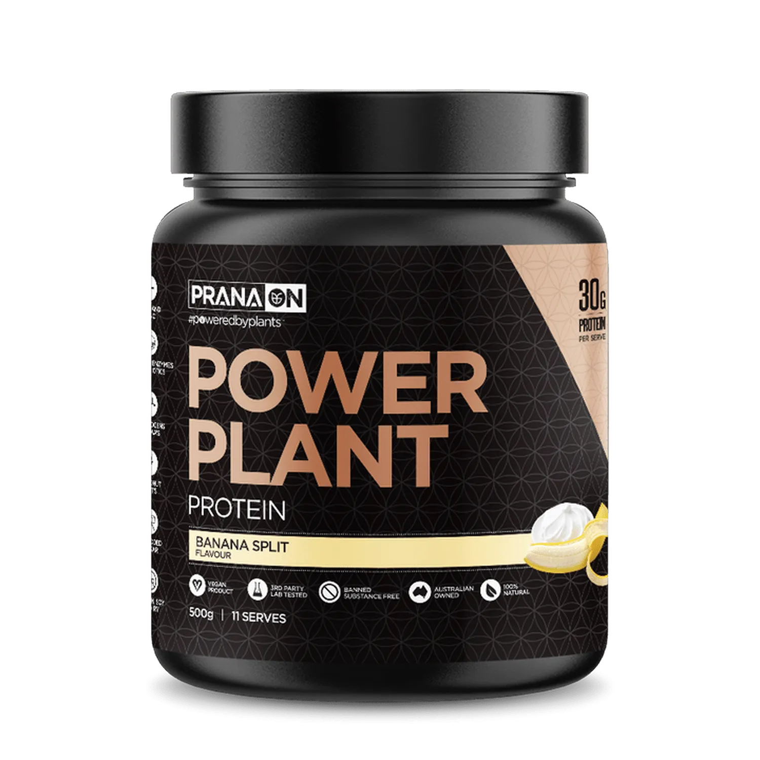 Power Plant Protein